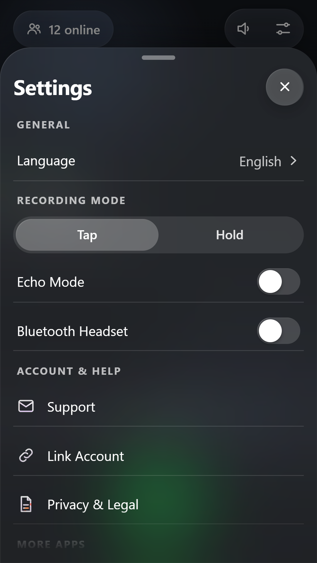 Settings with recording mode, echo mode and Bluetooth headset